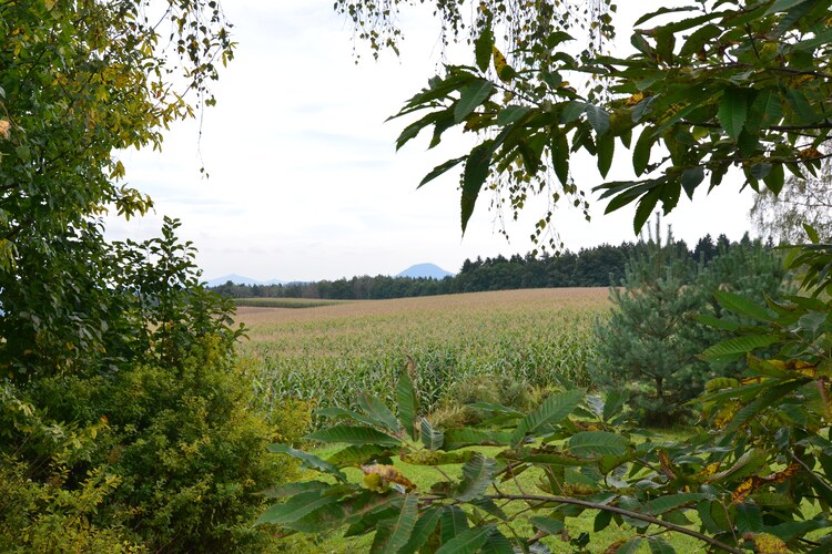 Ferienhaus Bergblick (269969), Schöna, Sächsische Schweiz, Sachsen, Deutschland, Bild 25