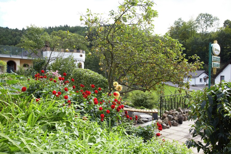 Ferienwohnung Kylltal Panorama (277416), Zendscheid, Südeifel, Rheinland-Pfalz, Deutschland, Bild 16