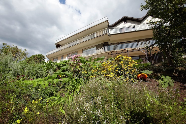 Ferienwohnung Kylltal Panorama (277416), Zendscheid, Südeifel, Rheinland-Pfalz, Deutschland, Bild 15