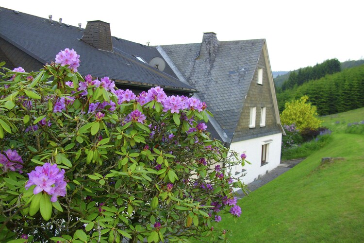 Holiday home Sauerland