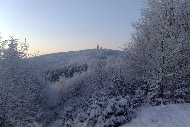 Naturstammhaus - Area - Winter