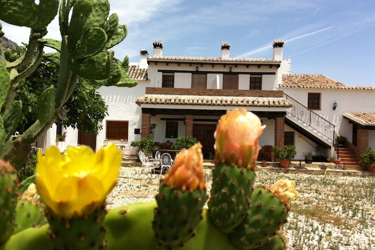 Cottage Costa del Sol
