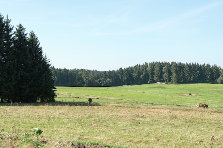 Ferienhaus Kunzmann (297532), Beerheide, Vogtland (Sachsen), Sachsen, Deutschland, Bild 22