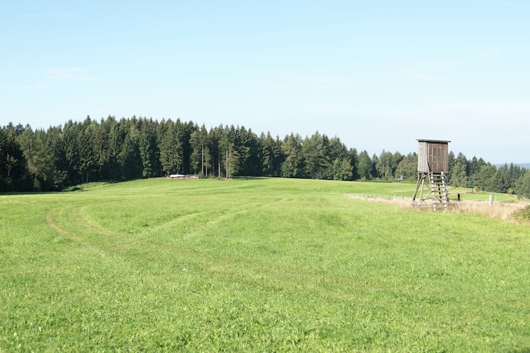 Ferienhaus Kunzmann (297532), Beerheide, Vogtland (Sachsen), Sachsen, Deutschland, Bild 23