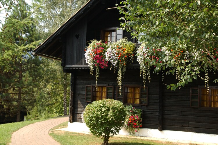 Apartment Carinthia