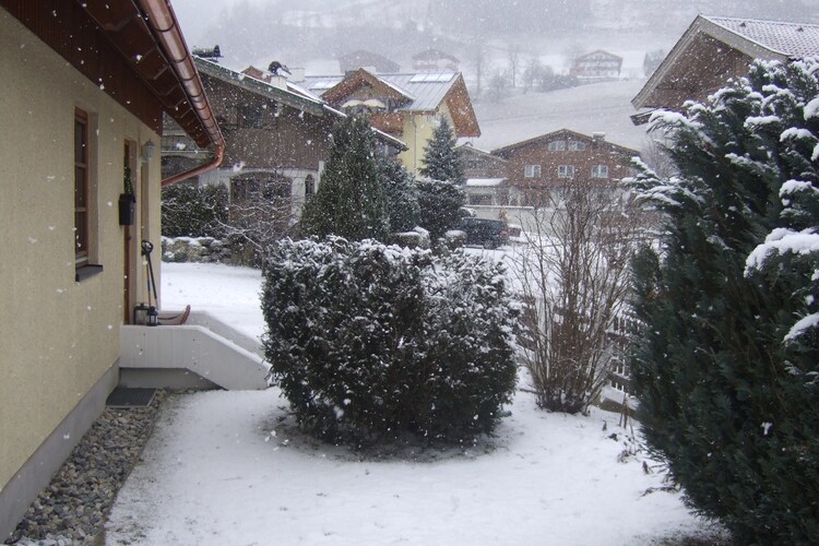 Garden (winter)