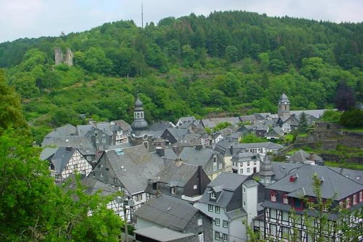 Ferienwohnung Direkt an der Rur (307454), Monschau, Eifel (Nordrhein Westfalen), Nordrhein-Westfalen, Deutschland, Bild 39