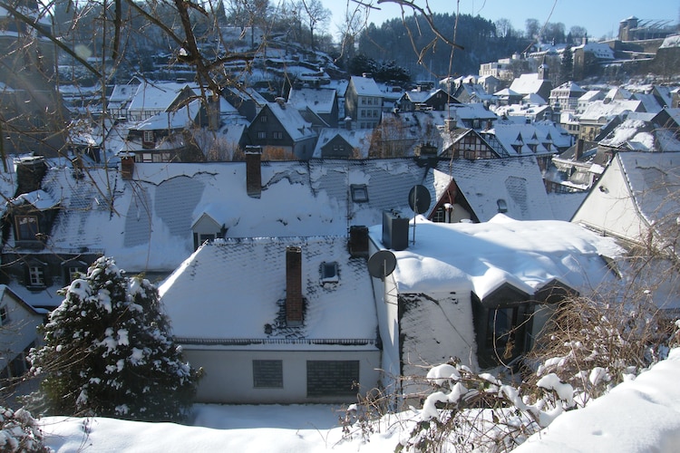 Ferienwohnung Direkt an der Rur (307454), Monschau, Eifel (Nordrhein Westfalen), Nordrhein-Westfalen, Deutschland, Bild 12