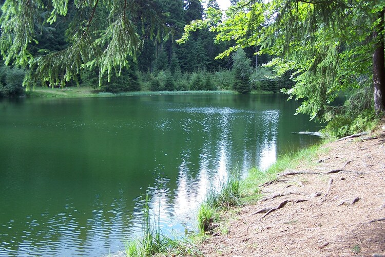 Ferienhaus Zum Erzgebirge (316645), Treuen, Vogtland (Sachsen), Sachsen, Deutschland, Bild 30