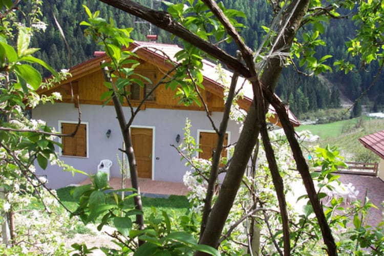 Apartment Trentino Dolomites