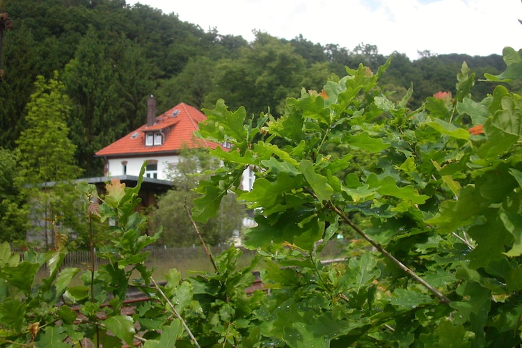 Mansion Hesse