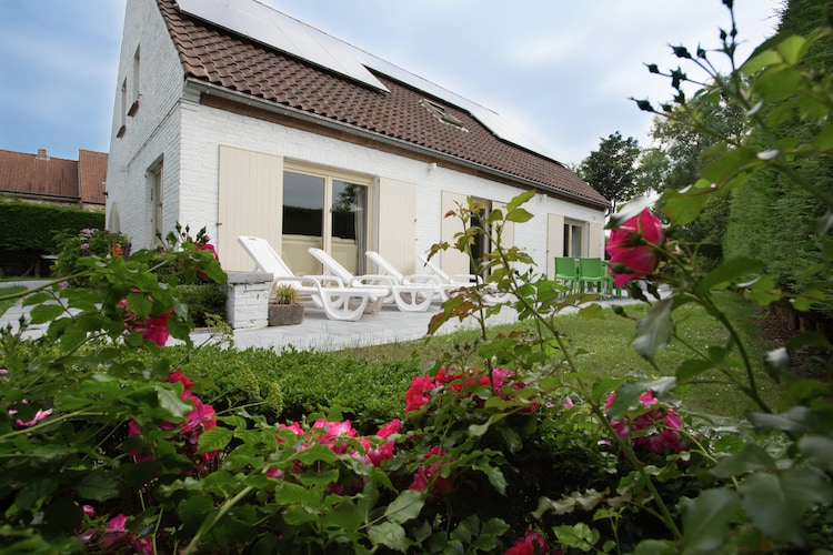 Ferienhaus Laurien (317712), Oostduinkerke, Westflandern, Flandern, Belgien, Bild 1