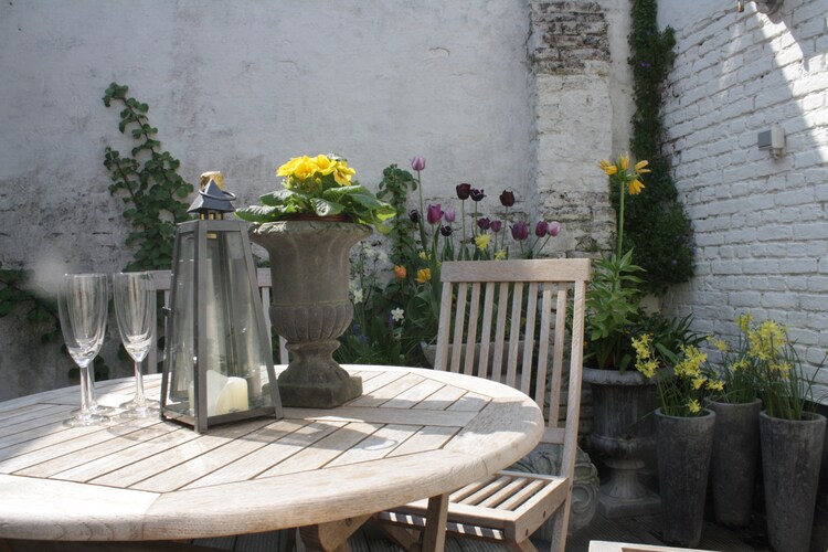 Garten (Sommer)