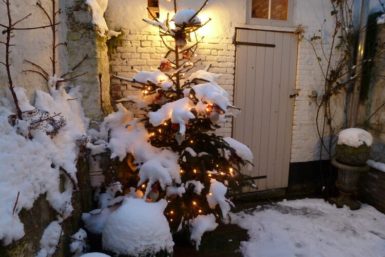 Garten (winter)