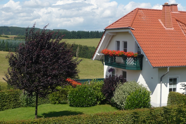 Ferienwohnung Leitges (332713), Bettenfeld, Moseleifel, Rheinland-Pfalz, Deutschland, Bild 4