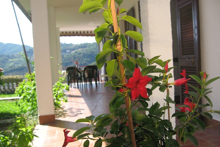 Apartment Liguria