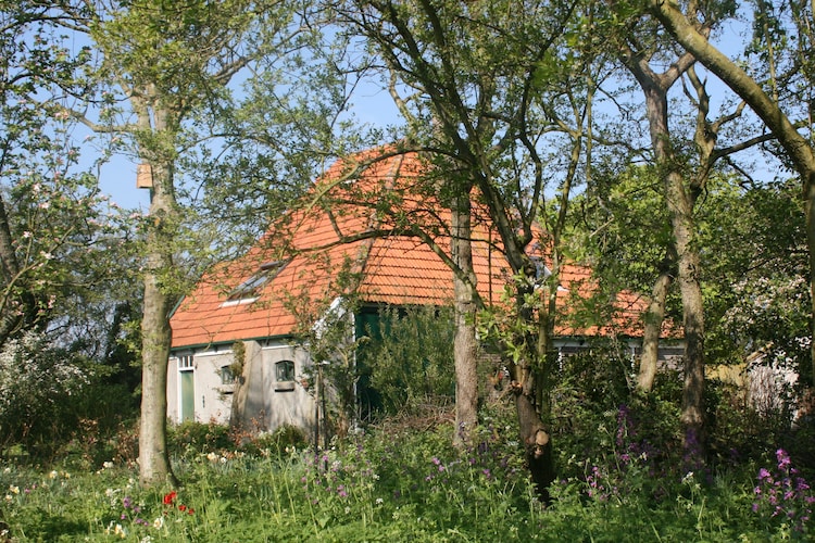Exterieur vakantiehuis (zomer)