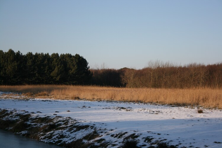 Directe omgeving (winter) (<1 km)