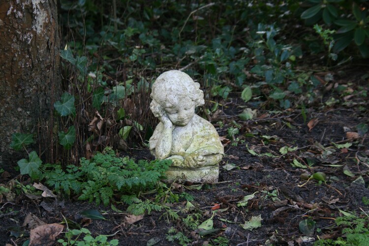 Tuin (zomer)
