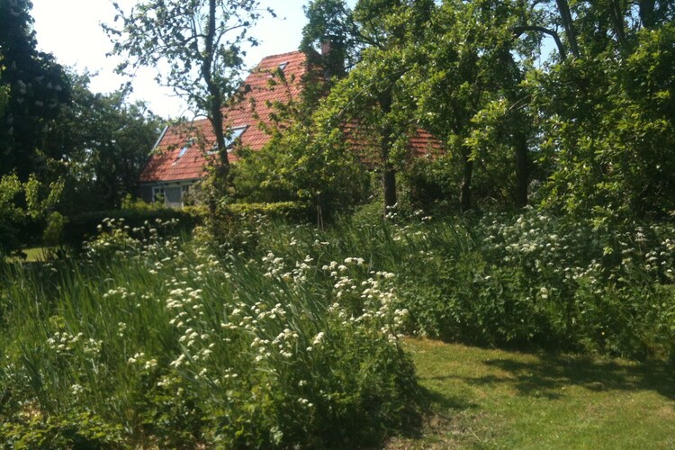 Exterieur vakantiehuis (zomer)