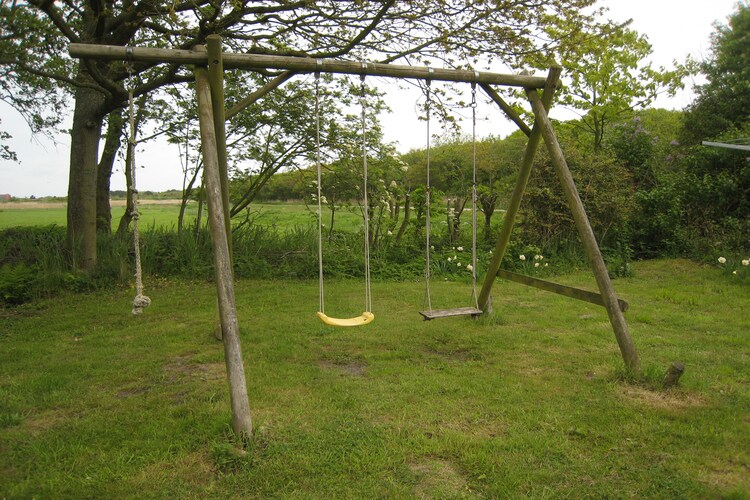 Tuin (zomer)
