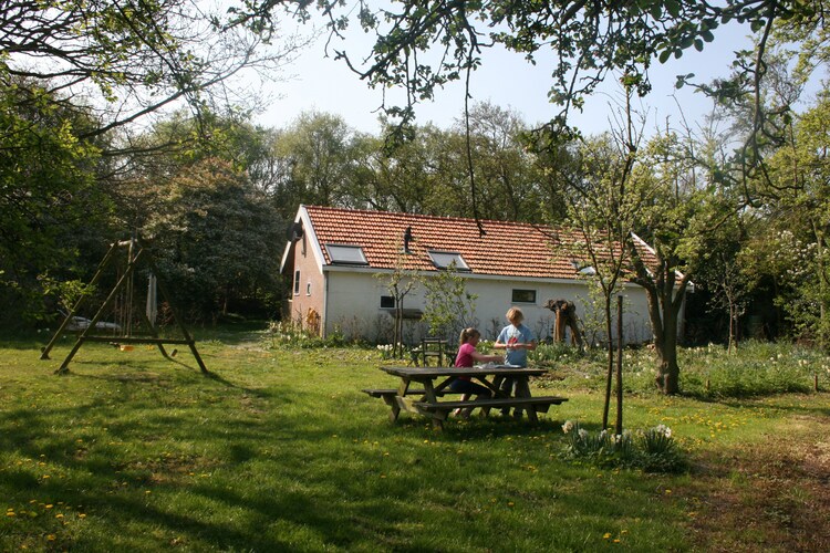 Tuin (zomer)