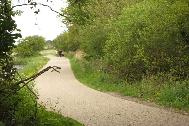 Directe omgeving (zomer) (<1 km)