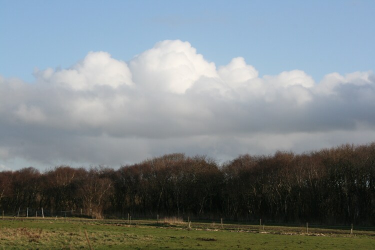 Uitzicht van vakantiehuis (winter)