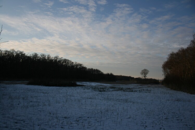 Directe omgeving (winter) (<1 km)