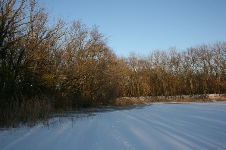 Directe omgeving (winter) (<1 km)
