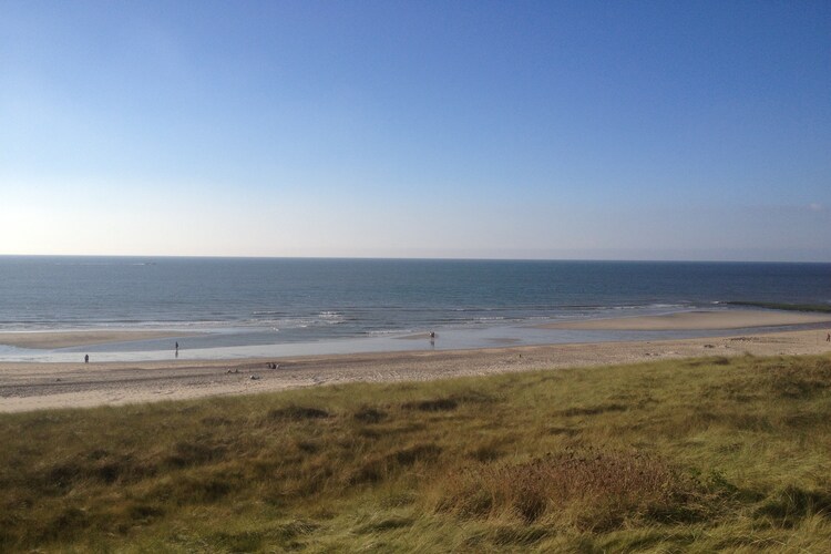 Directe omgeving (zomer) (<1 km)