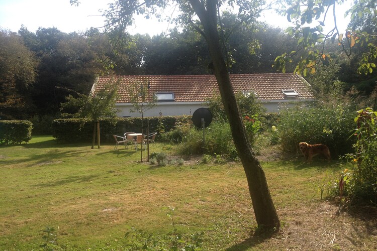 Exterieur vakantiehuis (zomer)