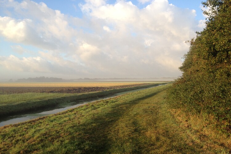 Directe omgeving (zomer) (<1 km)