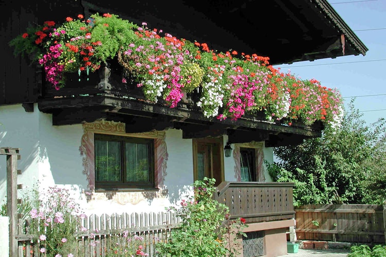 Apartment Tyrol