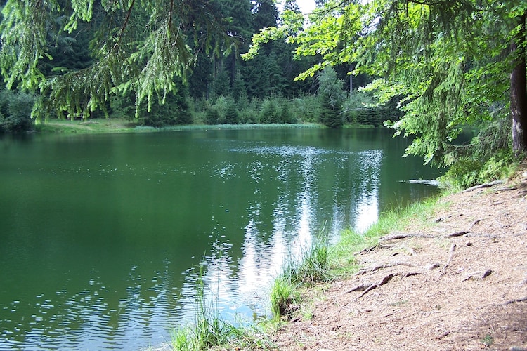 Ferienhaus Zum Erzgebirge (339129), Treuen, Vogtland (Sachsen), Sachsen, Deutschland, Bild 34