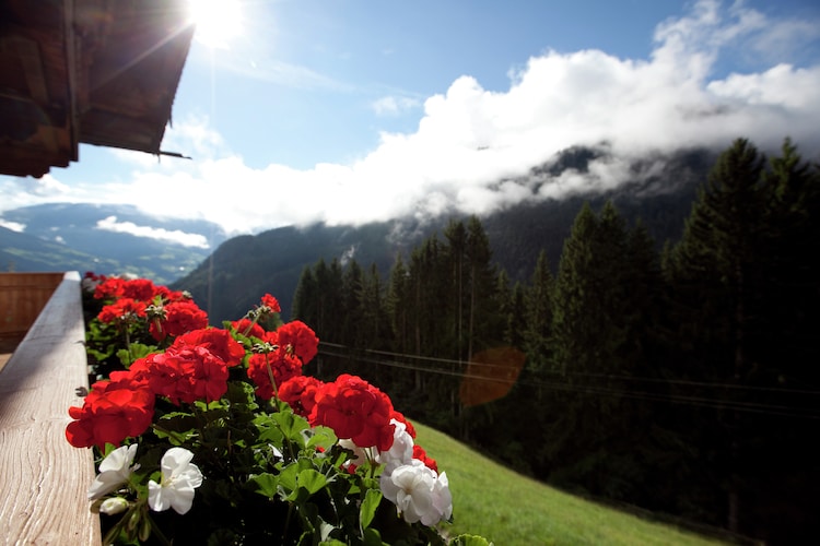 Apartment Tyrol
