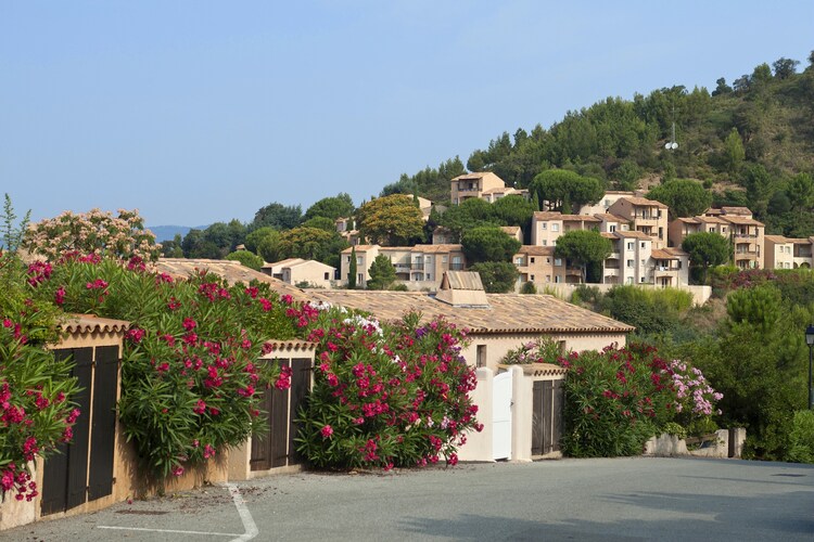 Apartment Provence Cote d Azur