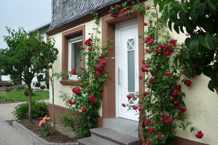 Holiday home Hunsruck