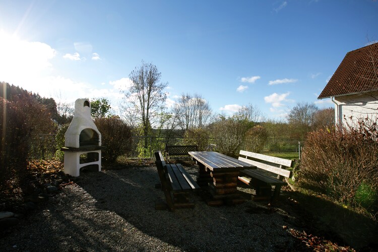 Garten (Sommer)
