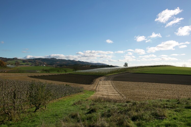 Direkte Umgebung (Sommer) (<1 km)