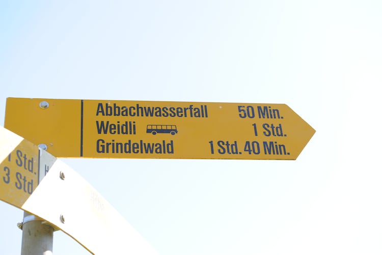 Delphin - Chalet - Grindelwald