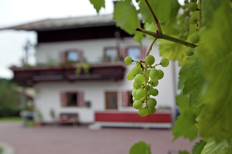 Ferienwohnung Waltl (383762), Fieberbrunn, Pillerseetal, Tirol, Österreich, Bild 19