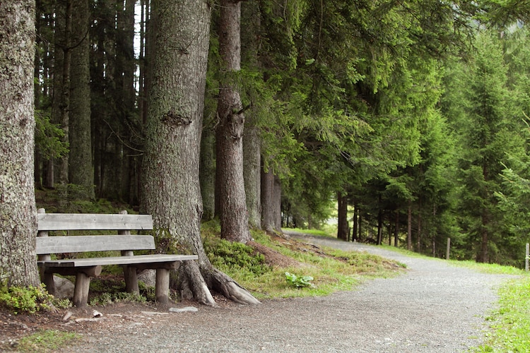 Ferienwohnung Waltl (383762), Fieberbrunn, Pillerseetal, Tirol, Österreich, Bild 26