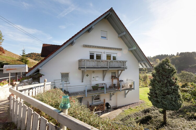 Mansion Black Forest