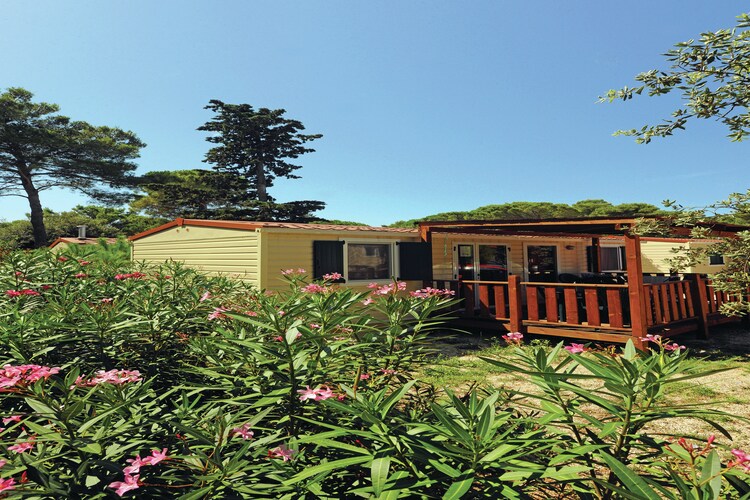 Chalet Dalmatia