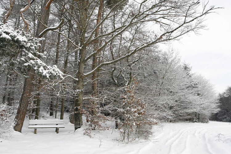 Umgebung (Winter) (1-5 km)