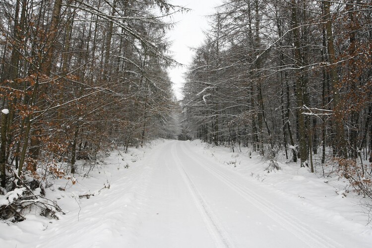 Umgebung (Winter) (1-5 km)