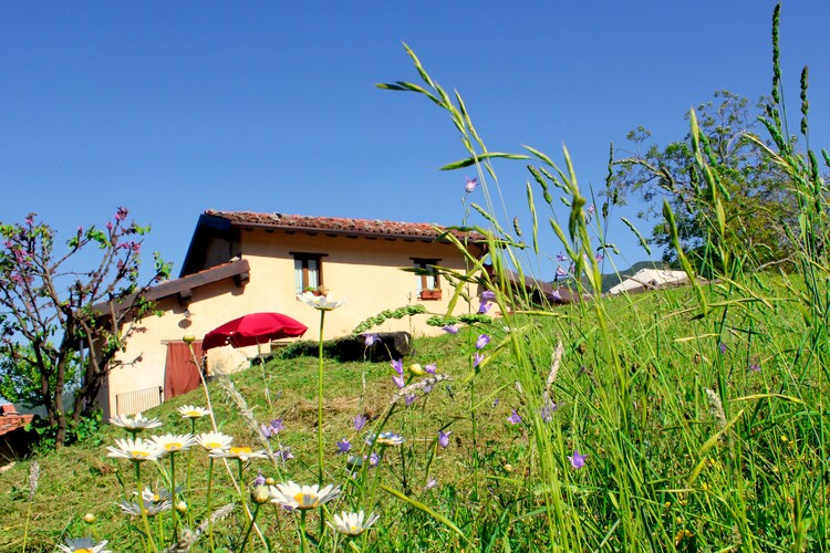 Cottage Tuscany Elba