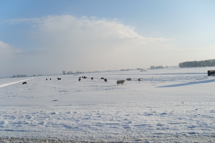 Ferienhaus De Meervaart - de Tjalk (410852), Delfstrahuizen, Friesland, Niedersachsen, Niederlande, Bild 24