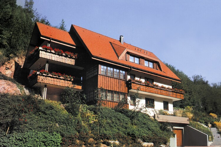 Apartment Black Forest